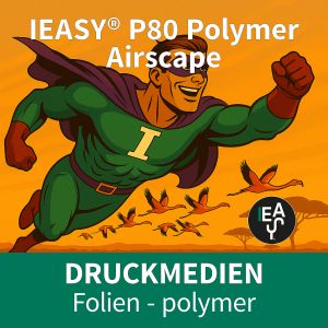 IEASY®Print P80 Polymer Airscape