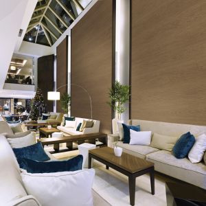BENIF Interior Film Classic Wood
