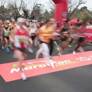 SPORTwalk FloorGraphics