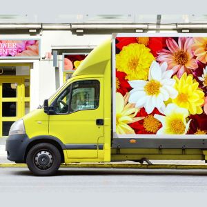 Avery Dennison MPI 2800 HOP