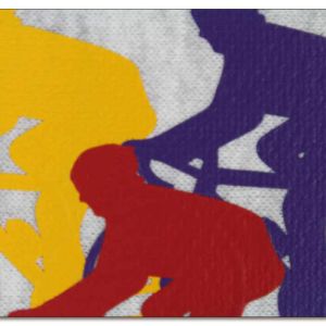 CAD-COLOR® Sportsfilm